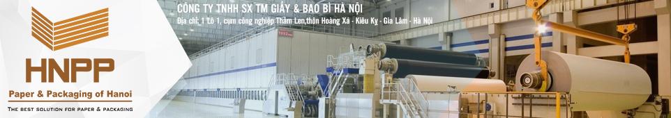 Công ty TNHH Sản xuất Thương mại Giấy và bao bì Hà Nội facility 1