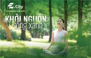 Khu công nghiệp Tân Đức facility 2