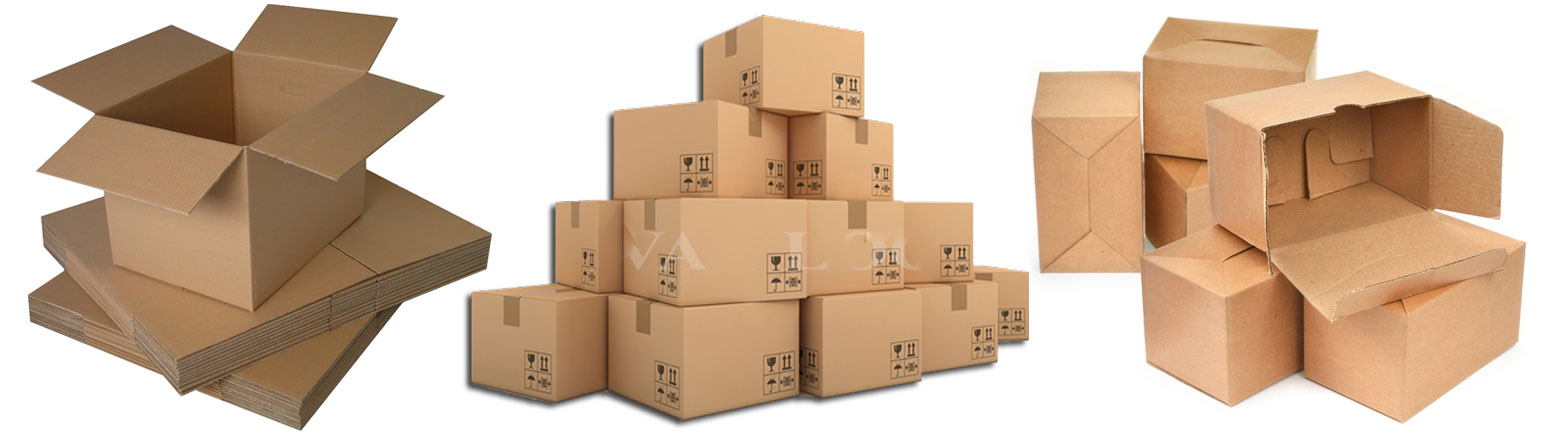 Công Ty Tnhh Bao Bì Trường Việt facility 3