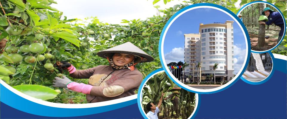 Công ty Cổ phần Cao su Đắk Lắk (DAKRUCO) facility 3