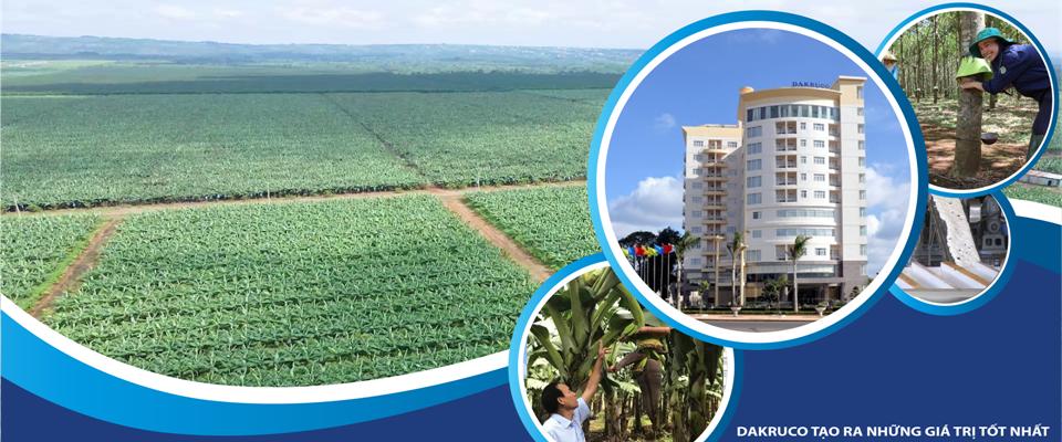 Công ty Cổ phần Cao su Đắk Lắk (DAKRUCO) facility 1