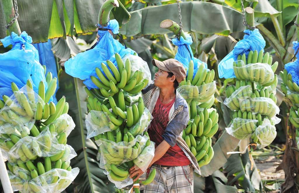 Công Ty Bao Bì Hoàng Nguyên facility 1