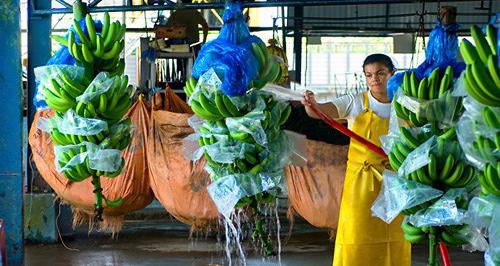 Công Ty Bao Bì Hoàng Nguyên facility 2