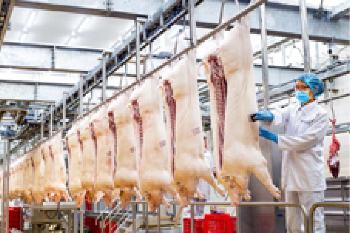 Thực Phẩm Đắc Vinh Đà Nẵng facility 3