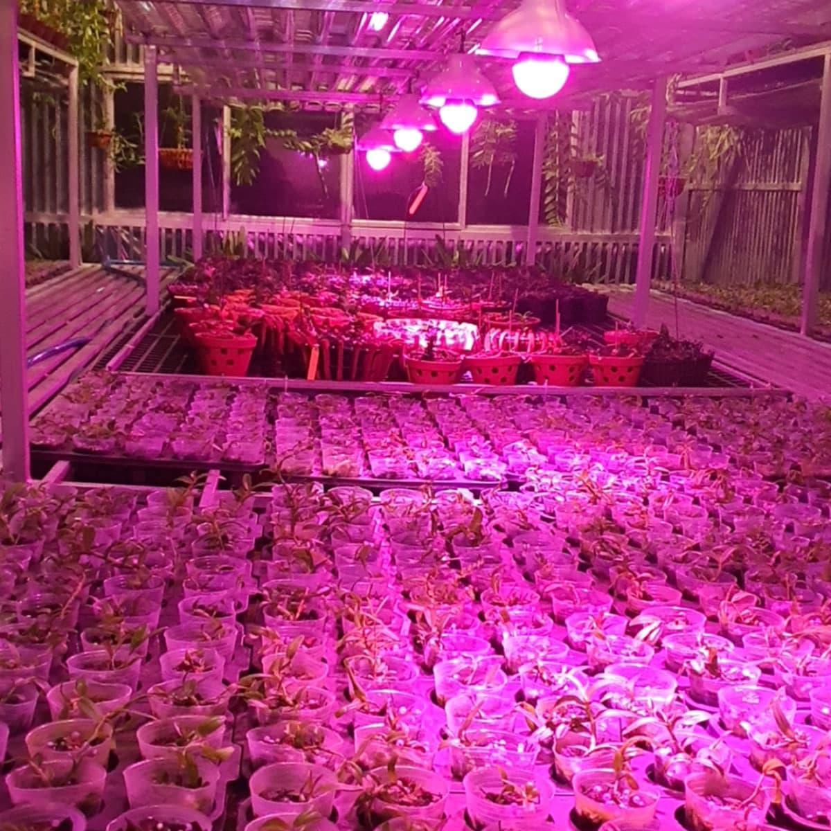 Công Ty TNHH Xuất Nhập Khẩu Nhật Thành ( Đèn nông nghiệp ZAKO) facility 2