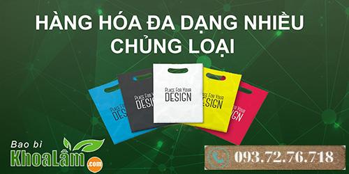 Công Ty Bao Bì Khoa Lâm facility 1
