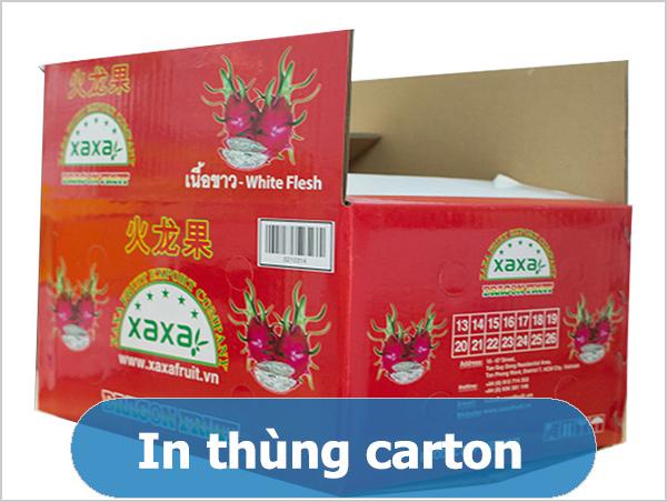 Công Ty TNHH Bình Minh Pat facility 3