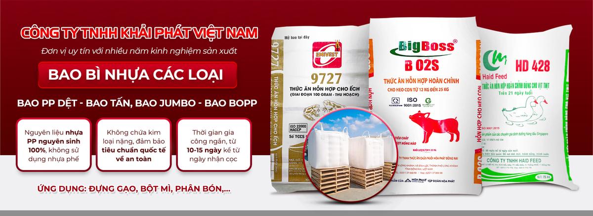 越南启发有限公司 (Công ty TNHH Khải Phát Việt Nam) facility 1