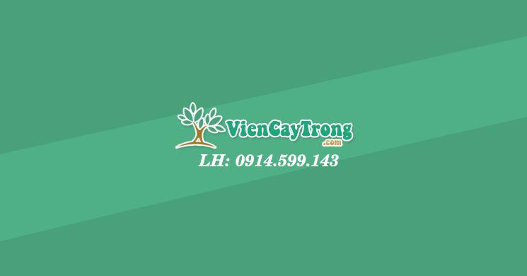 Hợp Tác Xã Khuyến Nông facility 1