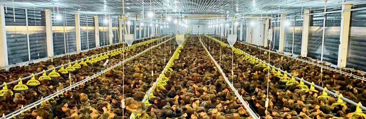 Công Ty Tnhh Sunjin Vina Mekông facility 2