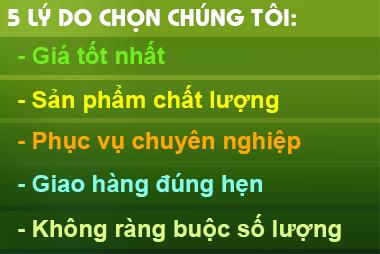 Công Ty TNHH Trang Thiết Bị Bảo Hộ Thiên Phúc facility 3