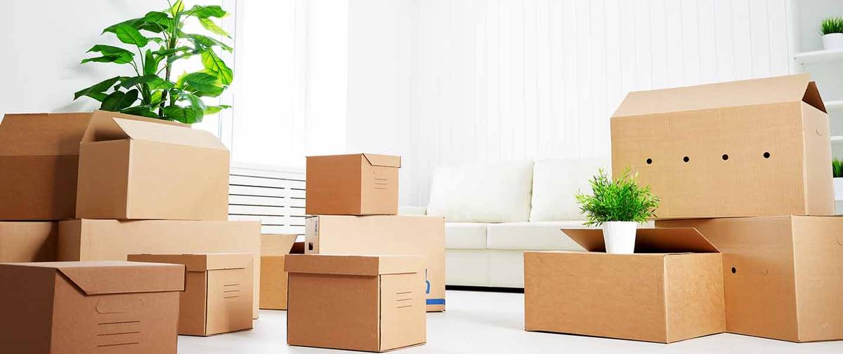 CÔNG TY TNHH GIẤY VÀ BAO BÌ MIỀN BẮC facility 3
