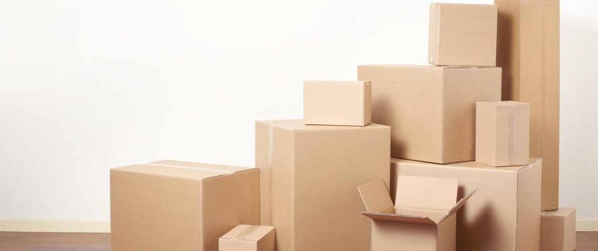 CÔNG TY TNHH GIẤY VÀ BAO BÌ MIỀN BẮC facility 2