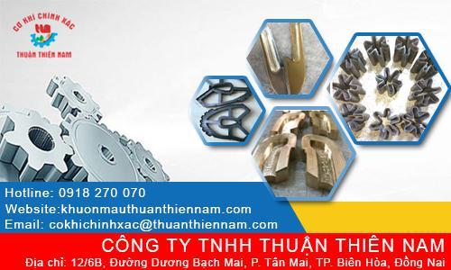 Khuôn Mẫu Thuận Thiên Nam facility 1