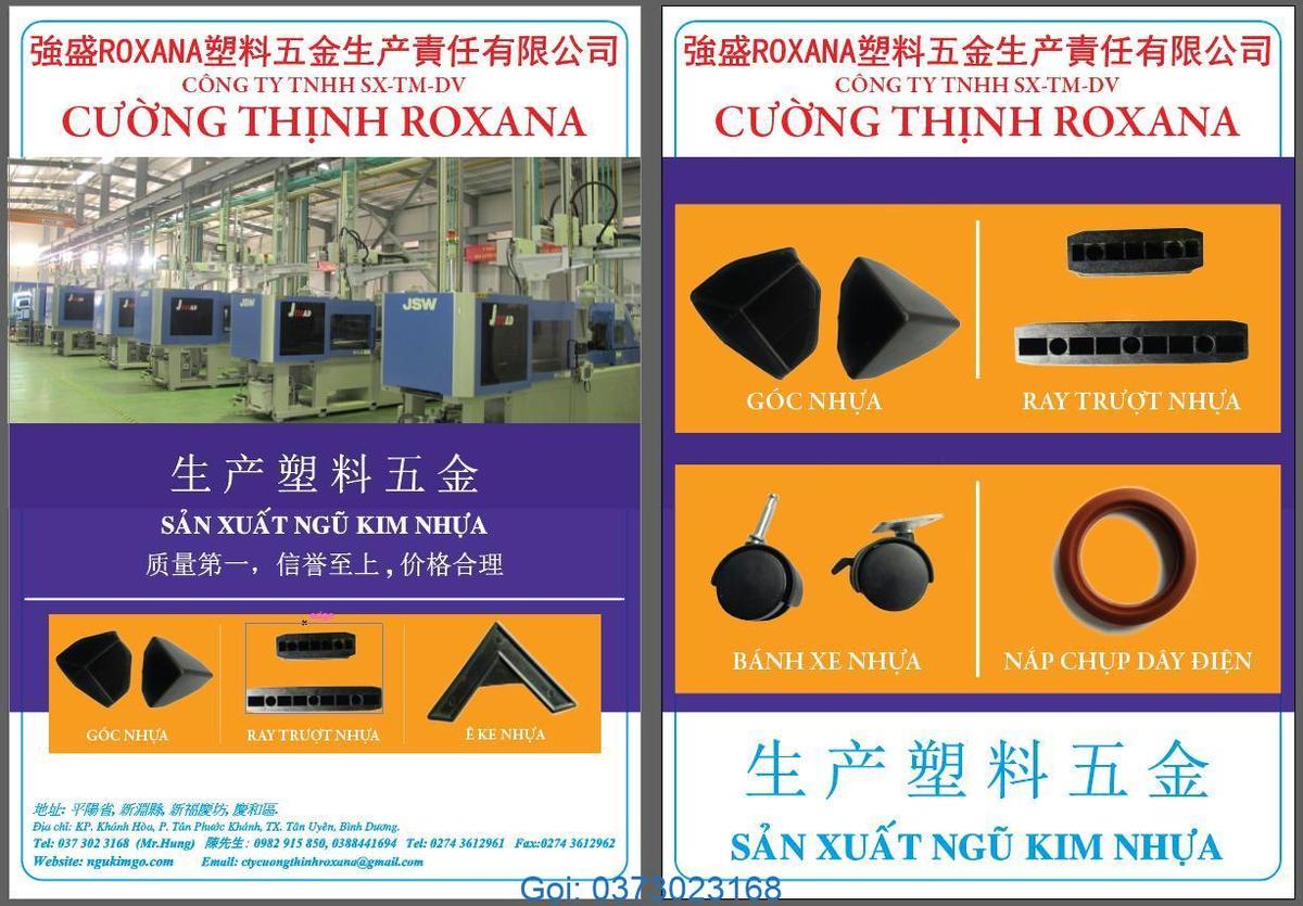 Gia công ép nhựa Bình Dương - Tín Uy Roxana facility 1
