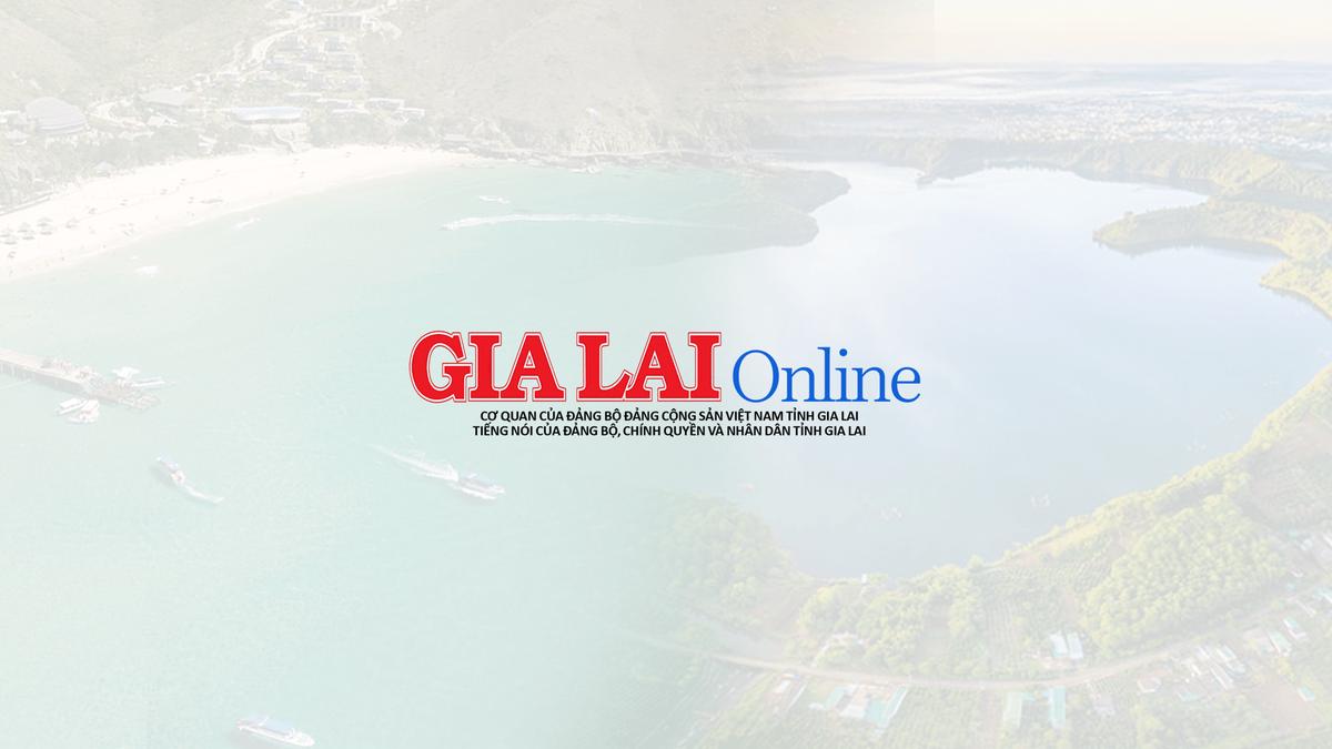 Báo Gia Lai facility 1