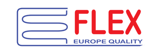 E-FLEX VIETNAM facility 2