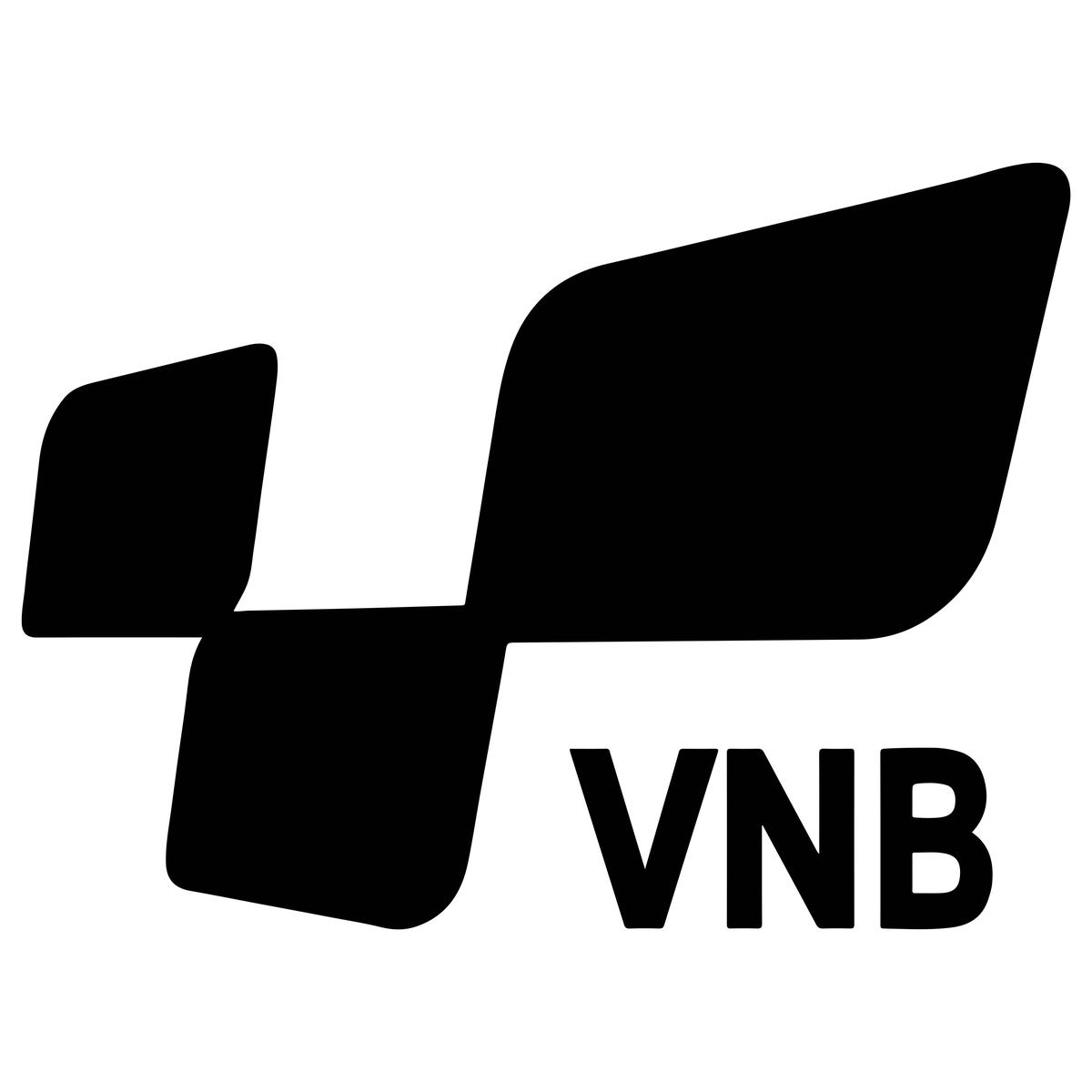 VNB Sports - 羽毛球、網球、匹克球專賣店 facility 1