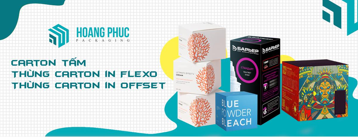 Công ty Sản Xuất Thùng Carton - Bao bì carton tại TPHCM - Hoàng Phúc Pack facility 2