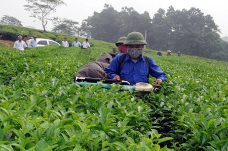 Công Ty Cổ phần Hóa Nông An Giang facility 3