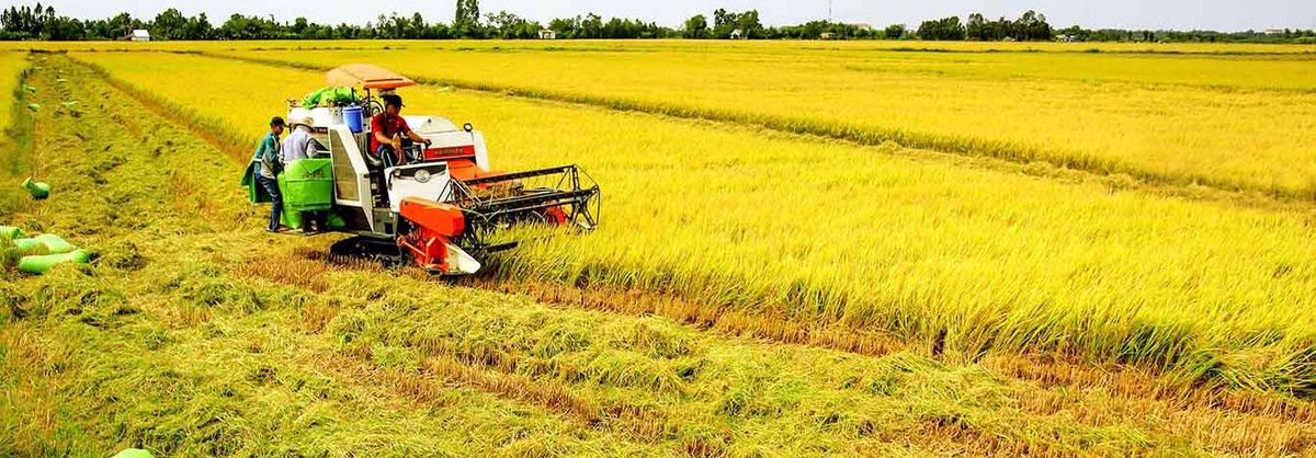 Công Ty Cổ phần Hóa Nông An Giang facility 2
