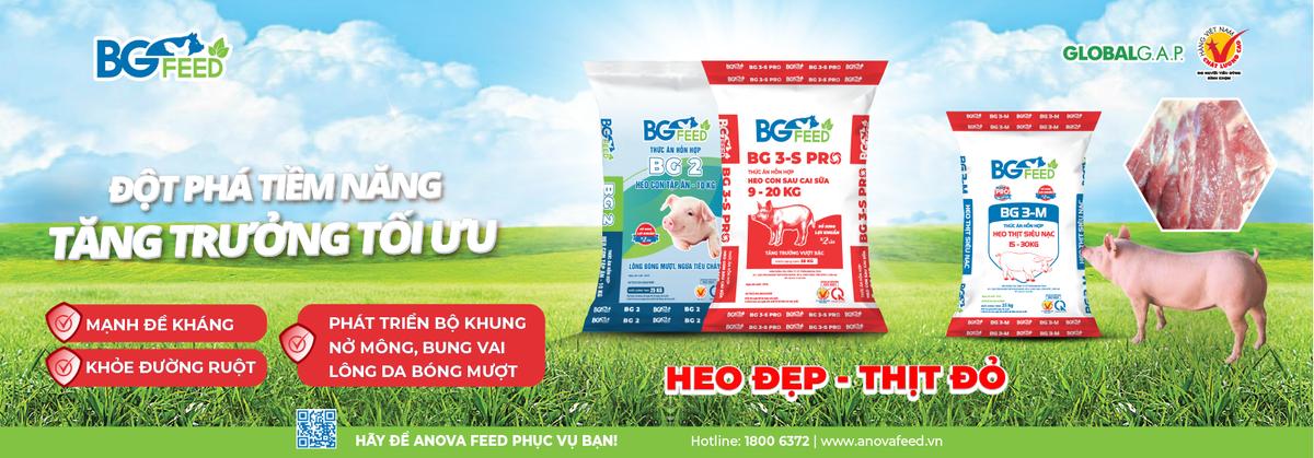 Chi nhánh Đồng Nai - ANOVA FEED facility 3