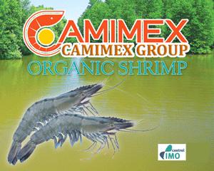 Camimex facility 3