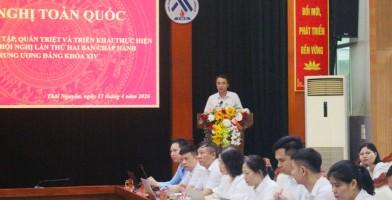 Công ty kim loại màu Thái Nguyên facility 3