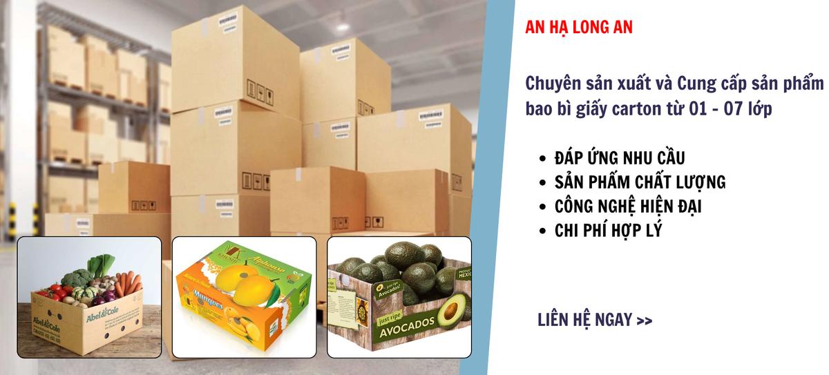 Công ty bao bì An Hạ Long An facility 2