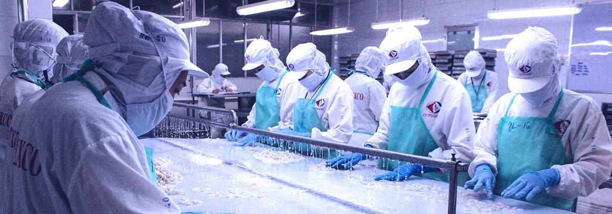 CÔNG TY CỔ PHẦN THỦY SẢN CÀ MAU ( SEAPRIMEXCO VIETNAM ) facility 1