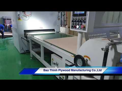 Công Ty TNHH SX Ván Ép Bảo Thịnh facility 2