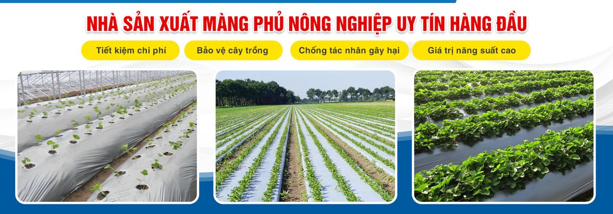 Cơ Sở Bao Bì Nhựa Đỉnh Phong facility 3