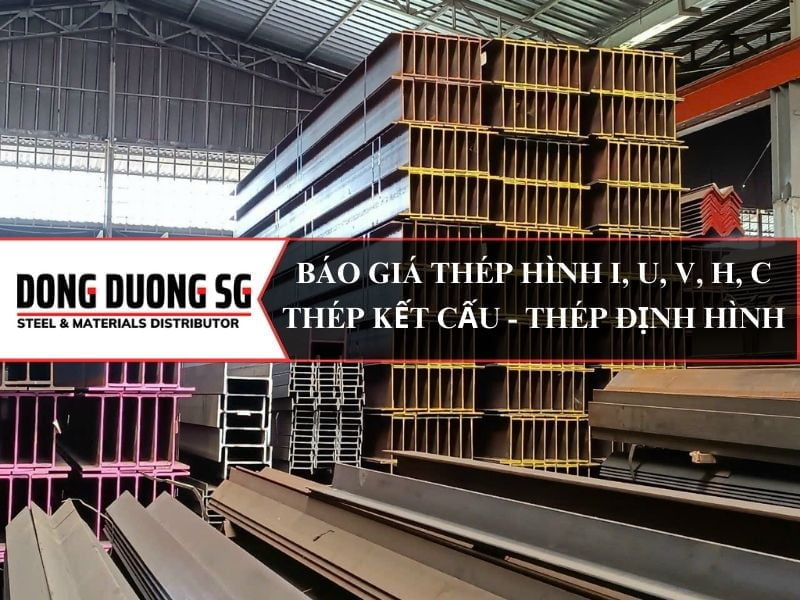 Thép Đông Dương SG facility 1