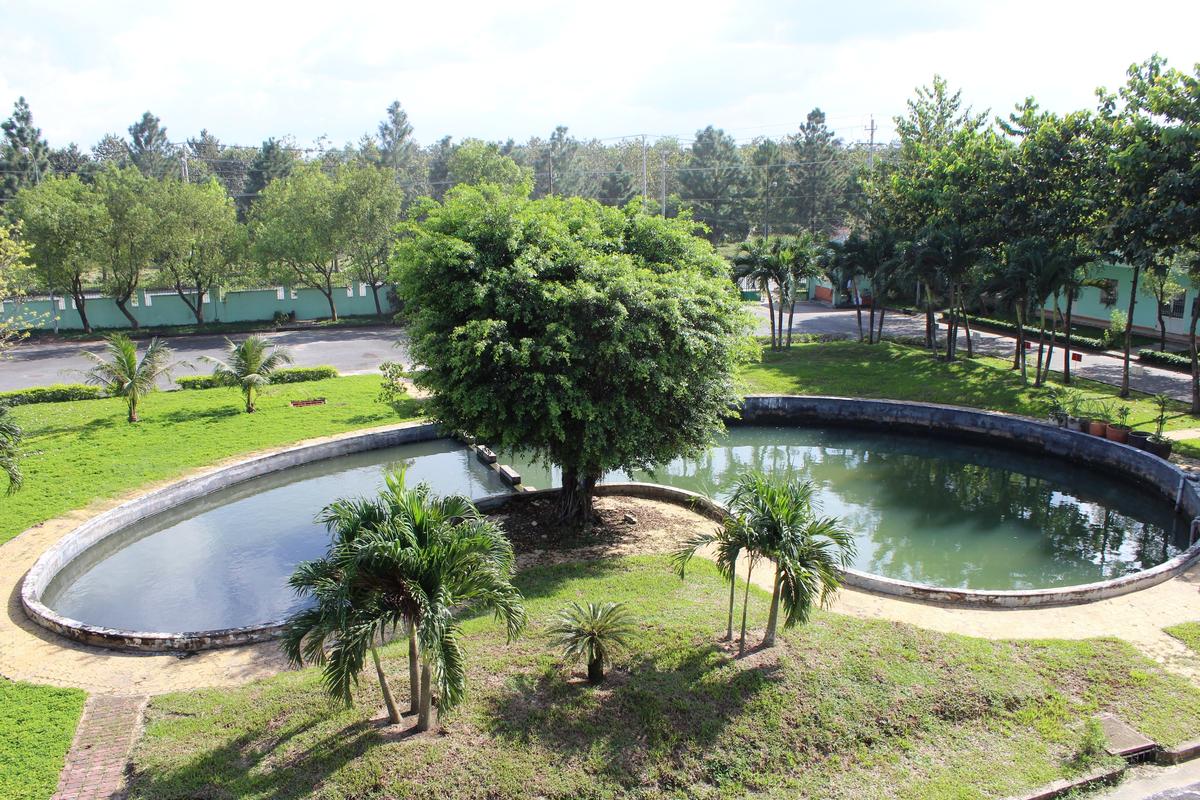 Khu công nghiệp Đất Đỏ 1 facility 3